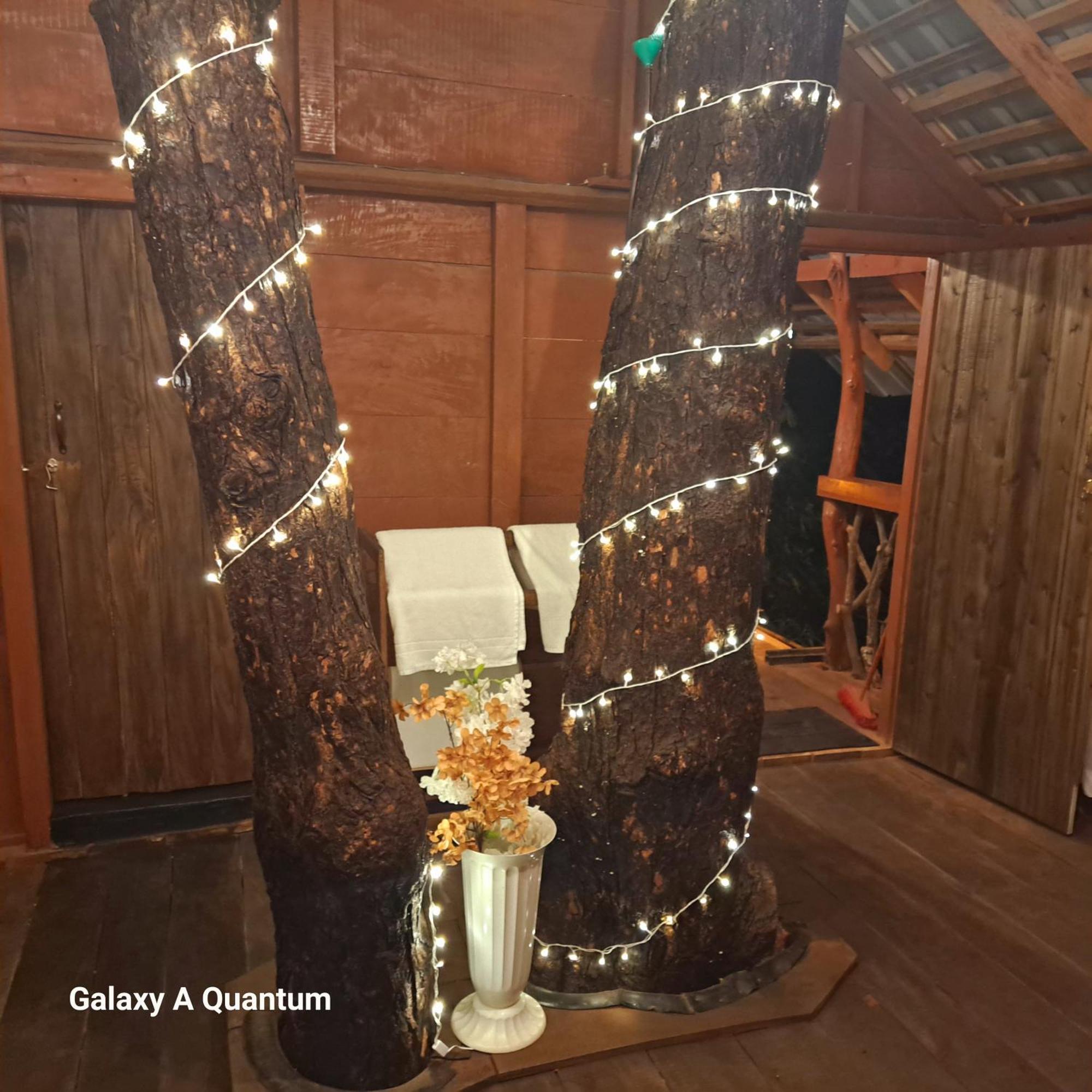 Green Leaf Tree House Дамбула Екстериор снимка