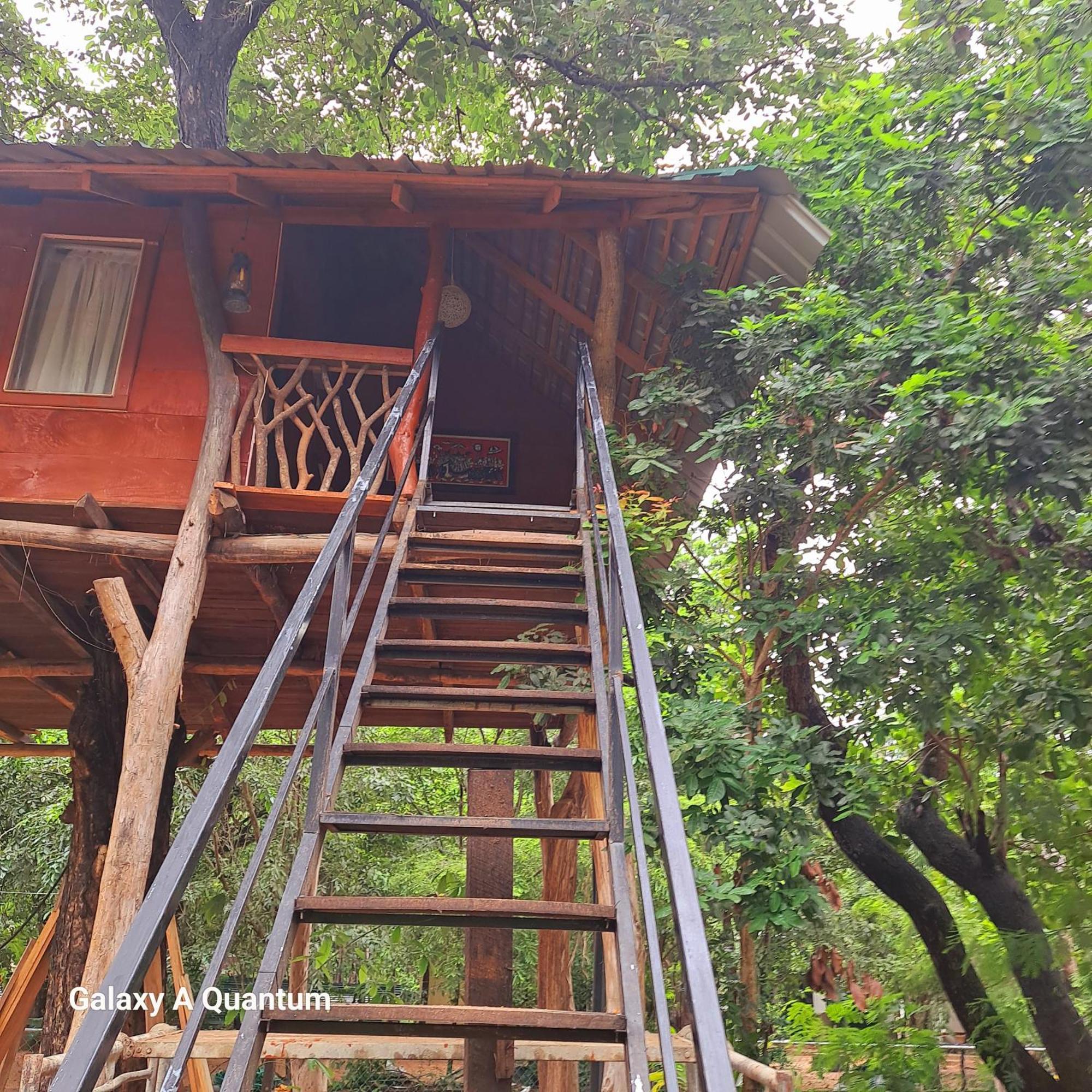 Green Leaf Tree House Дамбула Екстериор снимка